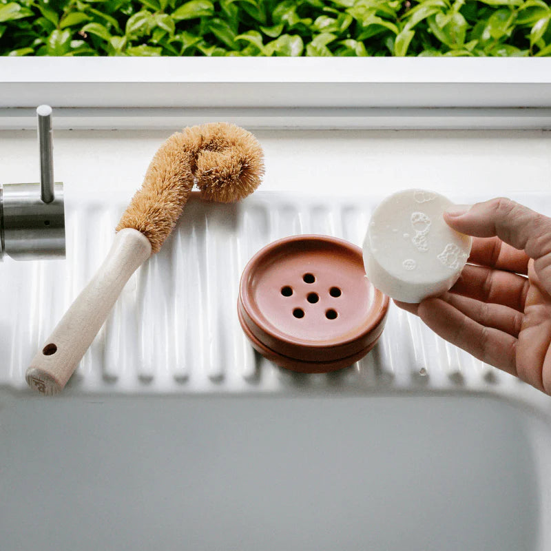 The Dish Bar - Pink Grapefruit