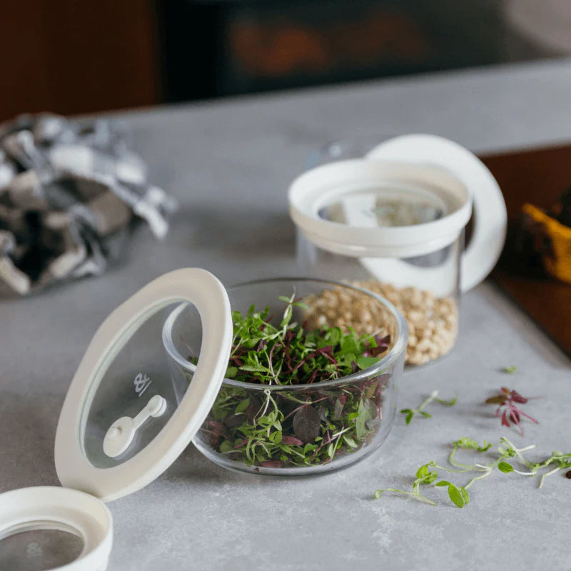 Glass Food Containers / Round Mixed 3pk - Oat Milk