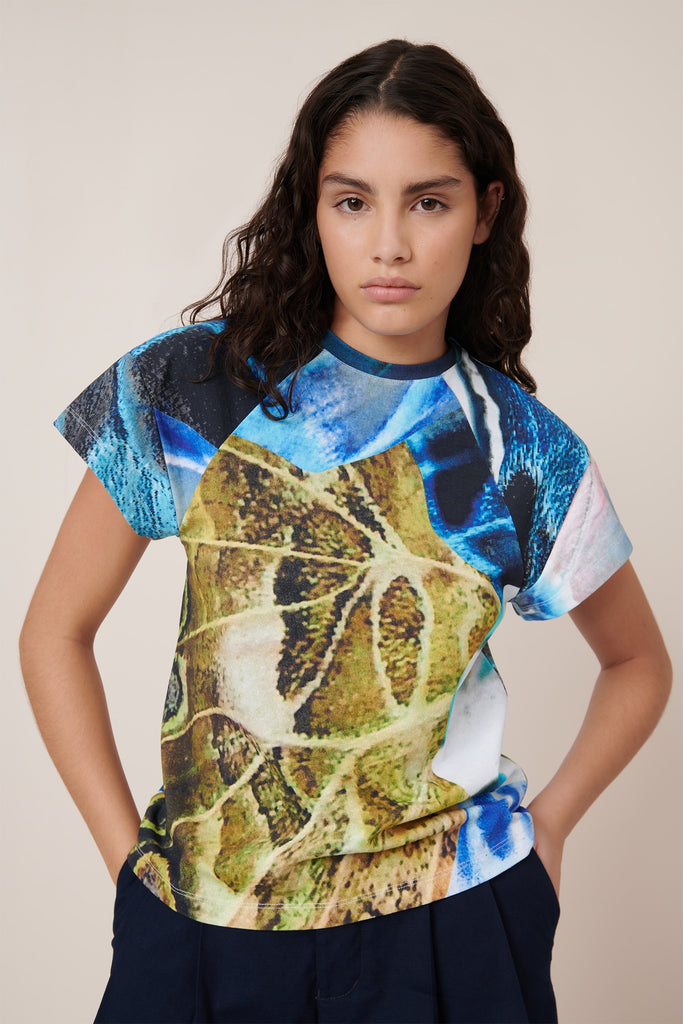 Monarch Top - Monarch