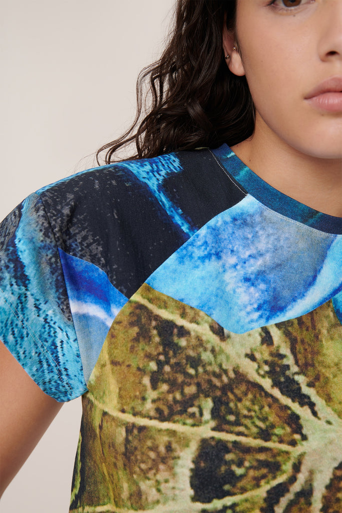 Monarch Top - Monarch