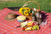 Picnic Blanket | Natural | Oilskin