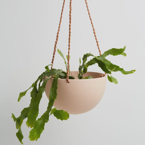 Dome Hanging Pot - Salt