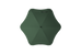 Classic Umbrella - Forest Green