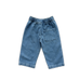 Organic Starlight Embroidery Denim Pant