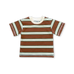 Cotton Sports Stripe Tee - Acorn