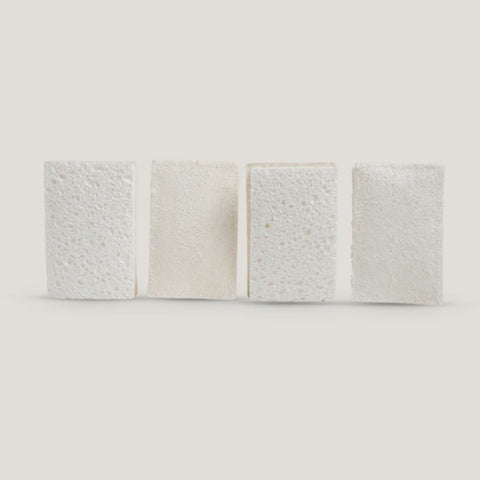 Compostable Sponge with Scourer / 4 Pack