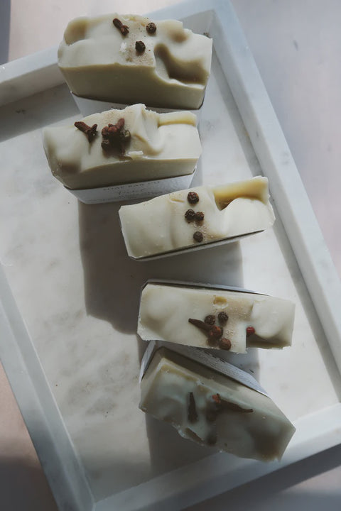 Forest - Exfoliation Soap Bar