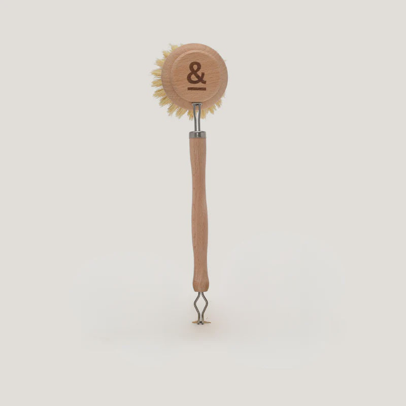 Dish Brush - Beechwood