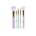 Rainbow Makeup Brush Set / 5 Piece