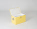Chilly Bin - Lemon Yellow
