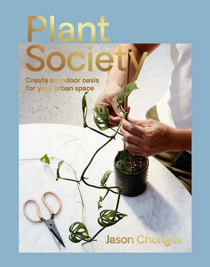 Plant Society - Create an Indoor Oasis for Your Urban Space
